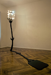 Phillip Zaiser Me wood and lamps ca. 250x250 cm 2009